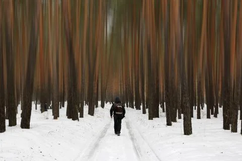 Man walks magic forest Stock Photos