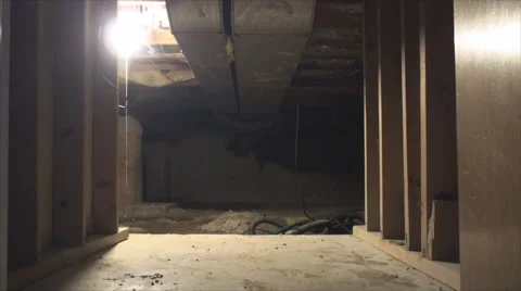 Man walks out from crawl space Vídeo Stock 53982189