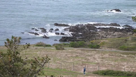 Man walks on path by the ocean Stockbeeldmateriaal 153950470