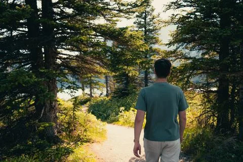 Man walks on a path through a lush green forest on a bright summer day Stock Photos