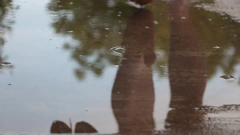 A man walks on a puddle on asphalt, stops and throws his shoes into a puddle Stock Footage 108446051