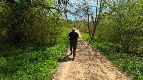 Man walks slowly through green forest path. Balkan, Eastern Europe, POV Video stock 333588897