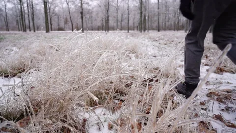 Man walks snow-covered path. Man walks away from camera through winter forest. Stock Footage 168266878