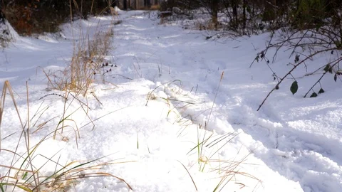 Man walks in the snow.  Stock Footage 100888246