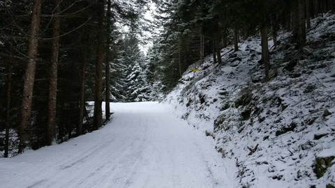 A man walks in snow forest. Video stock 115839133