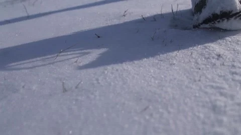 A man walks in the snow in winter. An active, tourist lifestyle. 스톡 동영상 333778119