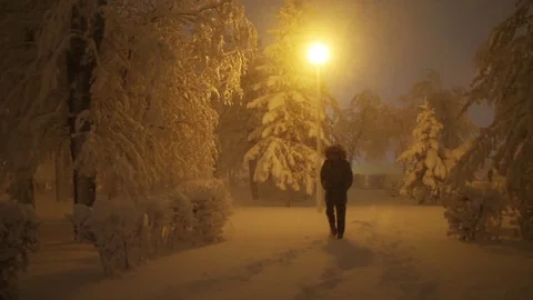 Man walks on snowy path in winter park at night Stock Footage 76199787