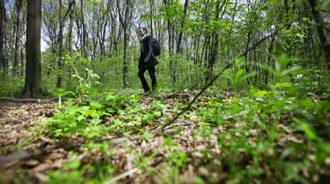 Man walks on spring forest Stock Footage 25149533