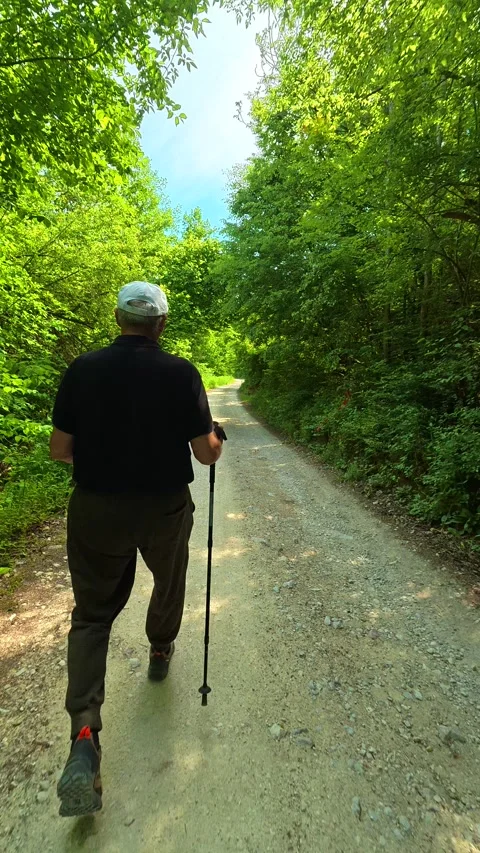 Man walks steadily through lush green woods. Vrmdza Lake, Serbia. Vertical Stock Footage 338030208