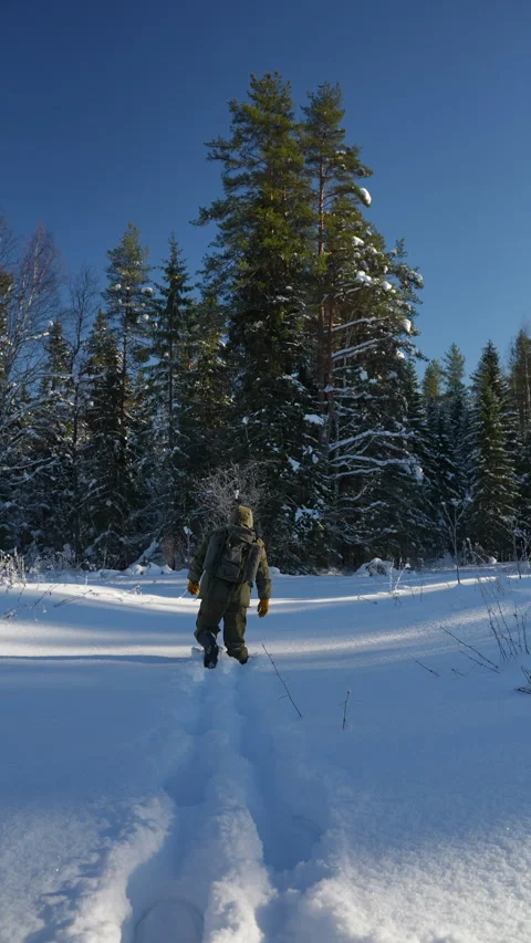Man walks through deep snow toward tall pine trees Stock Footage 329611943