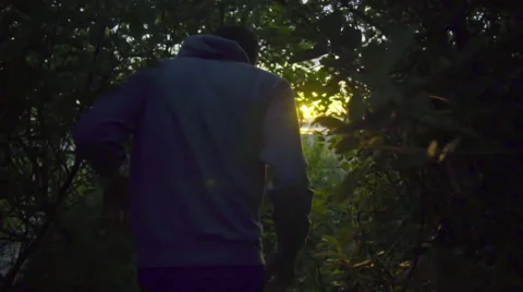 Man walks through dense foliage Stock Footage 59866736