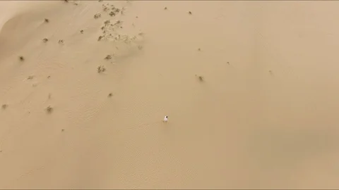 A man walks through the desert Video stock 85558418