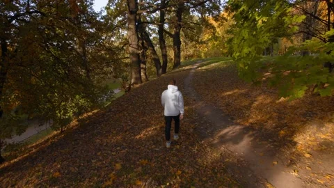 A man walks through the fall woods in park, autumn landscape Stock Footage 162487324