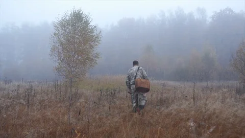 A man walks through a field into the forest for mushrooms Stock Footage 124209371