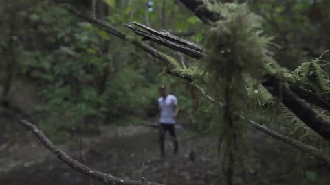 Man Walks Through Forest Along Creek Stock Footage 98863941