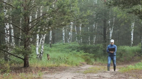 A man walks through the forest and works for a laptop. Early morning Stock Footage 64598668