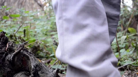 A man walks through the forest, the camera is at a lower angle Stock Footage 165846487