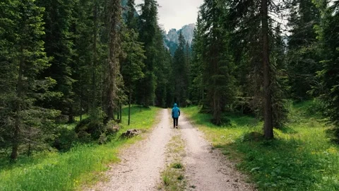 A Man Walks Through The Forest In Dolomites Stock Footage 247890111