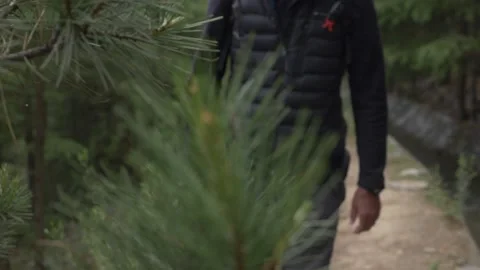 A man walks through the forest Stock Footage 141791167