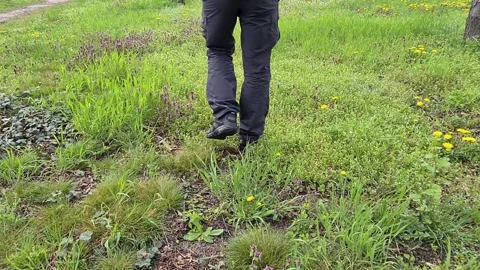 Man walks through the forest Stock Footage 157386444