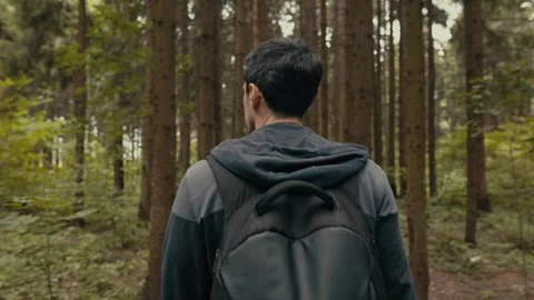 Man walks through the forest Stock Footage 255715010