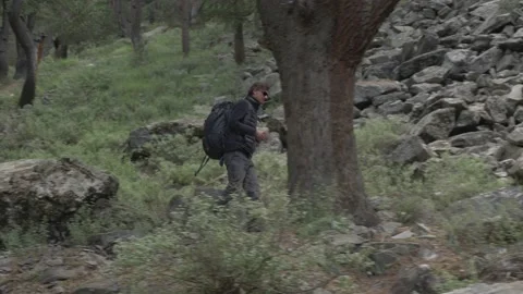 A man walks through the forest over rocks in the mountains Stock Footage 141791475