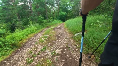 Man walks through forest path with trekking poles. Kozji Kamen area, Serbia 스톡 동영상 341876594