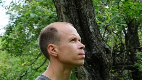 A man walks through the forest, peering into the sky. Stock Footage 255278406