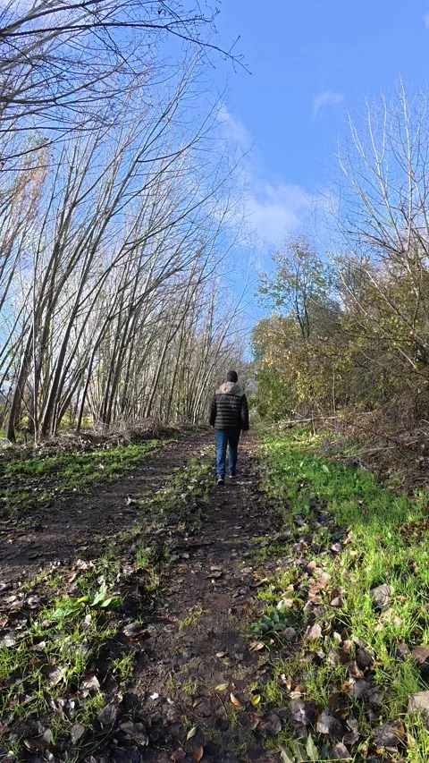 A man walks through the forest in winter on a sunny day. Vidéo 322527065
