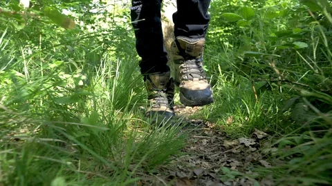 Man Walks Through Forest Woods Low Angle Boots Video stock 112681749