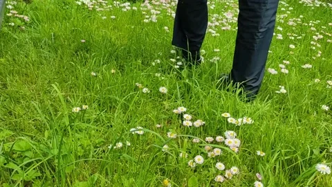 A man walks through the grass and flowers in his backyard Stock Footage 155669678