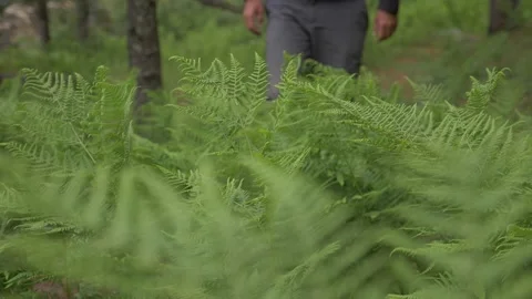 A man walks through the grass in slow motion Stock Footage 141794094