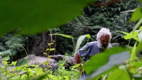 A man walks through the jungle. Video stock 122271880