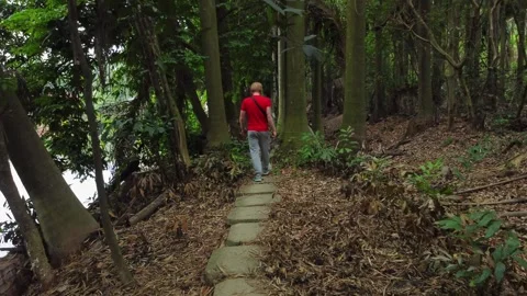 Man walks through the jungle Stock Footage 242094606