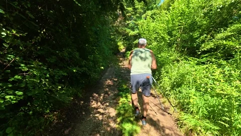Man walks through lush green forest trail. Kozji Kamen hiking path, Serbia Stockbeeldmateriaal 342339816