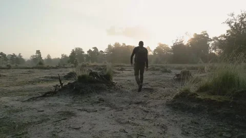Man walks through a misty field at sunrise Stock Footage 293158688