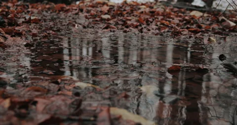 Man walks through the mud in rubber boots Stock Footage 148860451