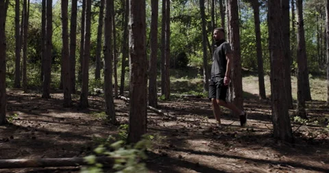 Man walks through peaceful forest on a sunny day enjoying nature and fresh air Stockbeeldmateriaal 346652659