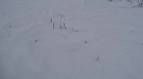 Man Walks Through the Snow Stock Footage 46481530