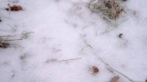 Man walks through snow in winter shoes. Feet man walking on fresh snow. Видео 168266945