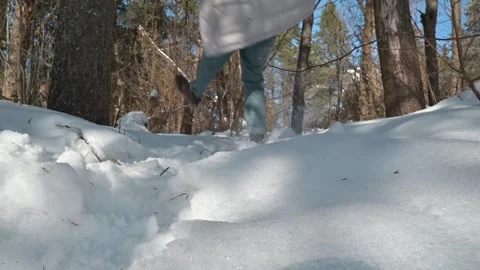 A man walks through a snowy forest, struggling to maintain his balance. He slips Vidéo 337101599