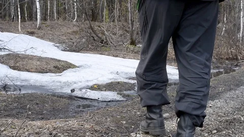 A man walks through the spring forest in the afternoon, going into the distance Stock Footage 111145028