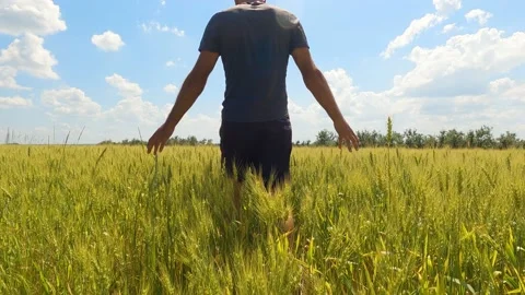 A man walks through a wheat field. Slow Motion 库存影片 197590193