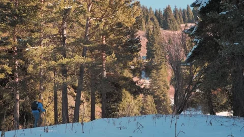 A man walks through a winter forest on a sunny day Stock Footage 144094171