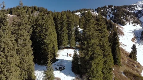 A man walks through a winter forest on a sunny day 스톡 동영상 144097384