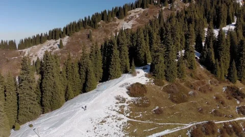 A man walks through a winter forest on a sunny day Vídeos de archivo 144097797