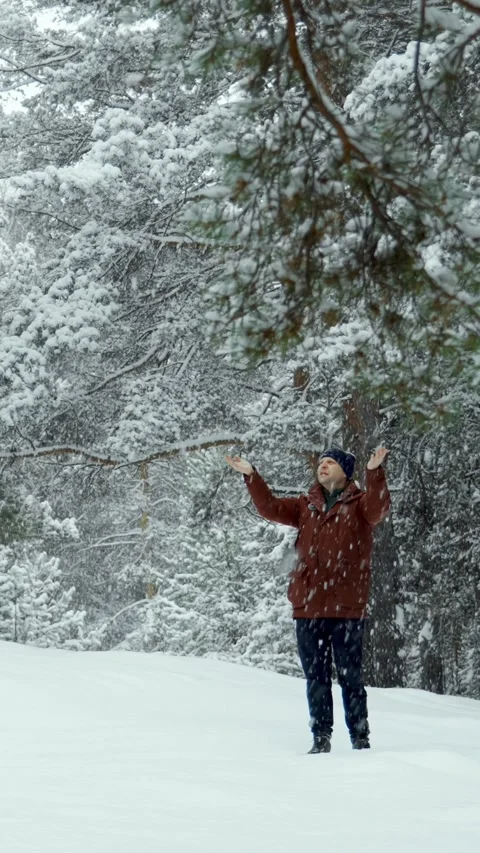 A man walks through a winter forest during a snowfall and catches snowflakes. Stock Footage 329923878