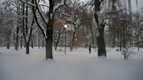 A man walks through a winter park Stock Footage 228754161