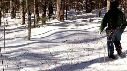 Man walks through winter snow in the woods. Stock Footage 91950562