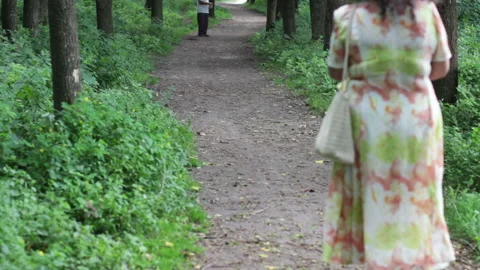 A Man Walks Through The Woods Video stock 92023226